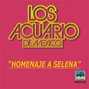 Download track El Tiempo Se Va Los Acuario De Mexico
