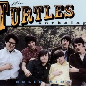 Download track You Don't Have To Walk In The Rain Turtles, The
