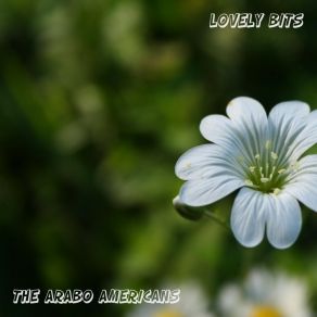 Download track Sweet Mystery Of Life The Arabo Americans