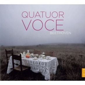 Download track 08. String Quartet No. 1 In F Major Op. 18 No. 1 - IV. Finale: Allegro Ludwig Van Beethoven