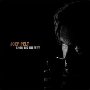 Download track Don't Leave Me Now Joep Pelt
