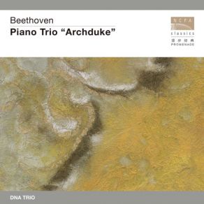 Download track Piano Trio No. 7 In B-Flat Major, Op. 97 -Archduke - IV. Allegro Moderato - Presto DNA Trio