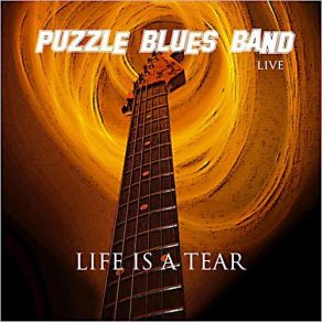 Download track Little Wing Puzzle Blues Band