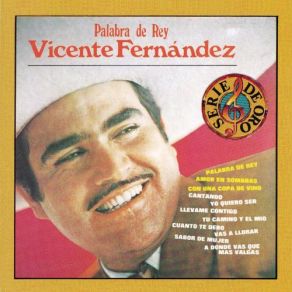 Download track Yo Quiero Ser Vicente Fernández