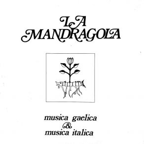 Download track Antidotum Tarantulae / Tarantella (Danze Tradizionali Campane) La Mandragola