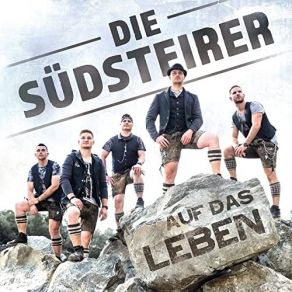 Download track Nur Wegen Dir Die Südsteirer