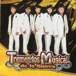 Download track El Hijo De Su Tremendos Musical De La Sierra