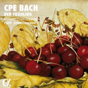 Download track Three Arias For Tenor, Wq. 211: I. Edle Freiheit, Götterglück Cafe Zimmermann, Rupert Charlesworth