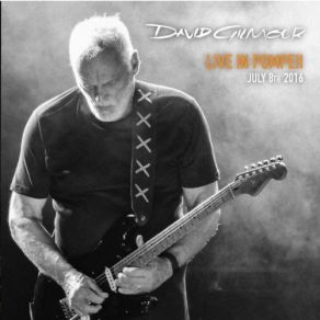 Download track What Do You Want From Me David Gilmour