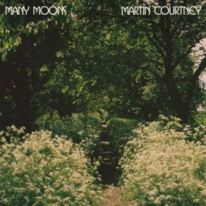 Download track Airport Bar Martin Courtney