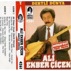 Download track Hü Diyelim Ali Ekber Çiçek