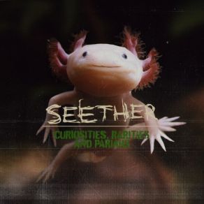 Download track Seether Seether
