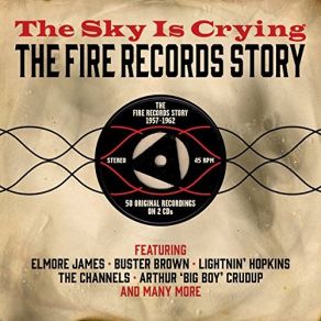 Download track The Sky Is Crying Elmore James