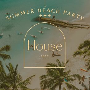 Download track Summer Beach Party Lady Dakota