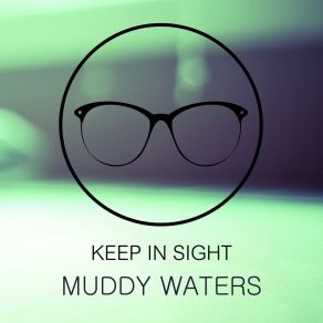 Download track Tiger In Your Tank Muddy Waters