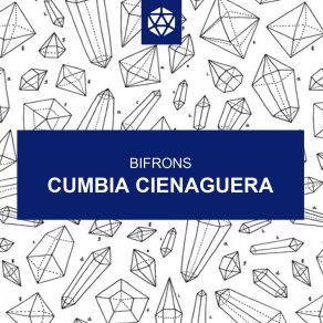 Download track Cumbia Cienaguera Bifrons
