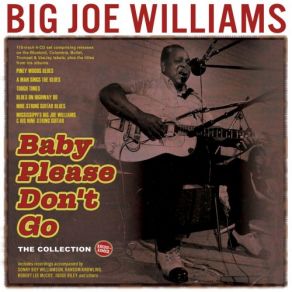 Download track Forty-Four Blues Big Joe Williams