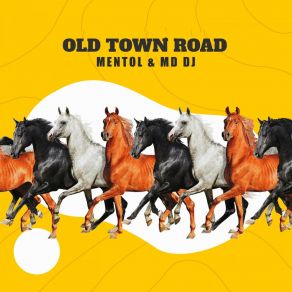 Download track Old Town Road 