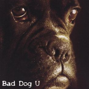Download track Romance Bad Dog U