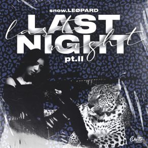 Download track Last Night (Chill Version) Snow Leopard