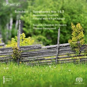 Download track Symphony No. 1 In D Major, D82 1813 - II. Andante Franz Schubert, Swedish Chamber Orchestra