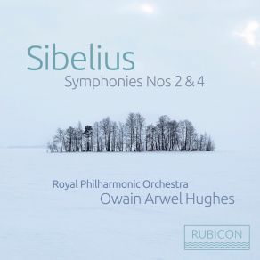 Download track IV. Finale. Allegro Moderato Sibelius