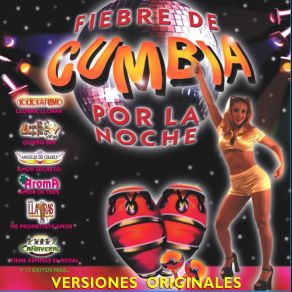 Download track Fiebre De Cumbia Mix
