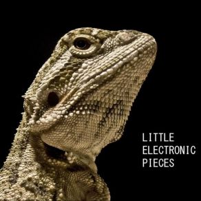 Download track End Of The Beginning Lagarto