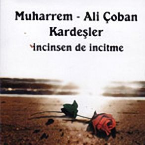 Download track Hu Diyelim Ali Çoban, Muharrem