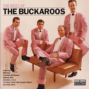 Download track You'll Never Miss The Water (Till The Well Runs Dry) The Buckaroos