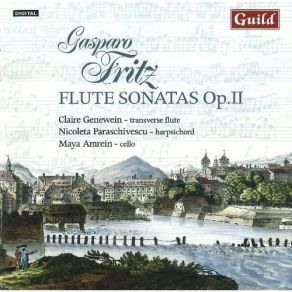Download track 14. Sonata V In D Major - I. Andante Gasparo Fritz