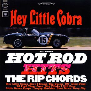 Download track Little Deuce Coupe The Rip Chords