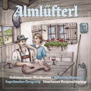 Download track A Paar Lustige Gstanzl Boarische Almmusi, Hohenaschauer Musikanten, Haushamer Bergwachtgsang