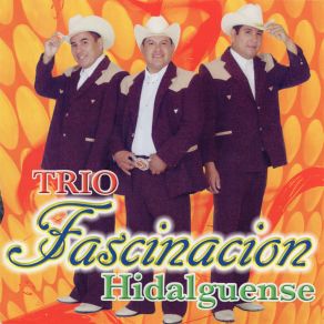 Download track Tienes Razon Trio Fascinacion Hidalguense