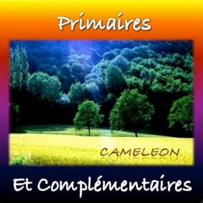 Download track Le Rayon Vert Cameleon