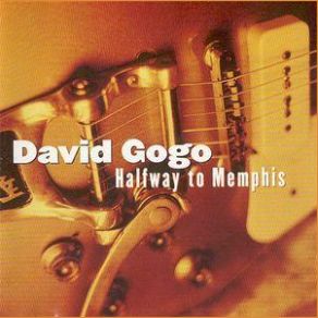 Download track I Should Have Lied David Gogo