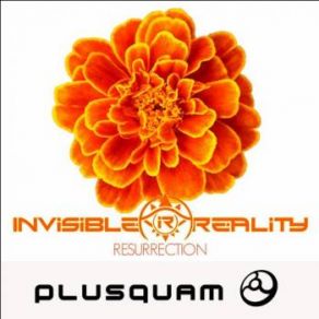 Download track Resurection Invisible Reality