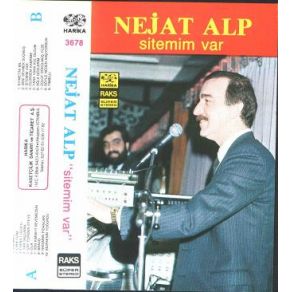 Download track Sen Kimseyi Sevemezsin Nejat Alp