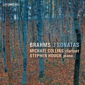 Download track 3. Violin Sonata No. 2 In A Major Op. 100 - III. Allegretto Grazioso Quasi Andante Johannes Brahms