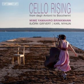 Download track 9. Georg Philipp Telemann - Sonata In D Major For Cello And B. C. TWV 41: D6 Published In Instalments In Der Getreue Music-Meister 1728â29 - I. Lento Mime Yamahiro Brinkmann
