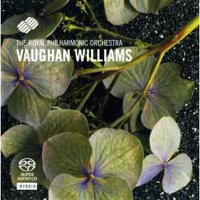 Download track Fantasia On A Theme Of Thomas Tallis Ralph Vaughan Williams