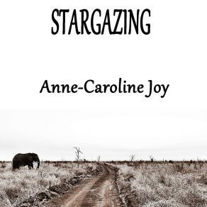 Download track Stargazing (Karaoke Instrumental Kygo Anne-Caroline JoyJustin Jesso Reprise