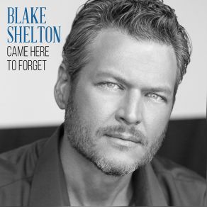 Download track Came Here To Forget Blake Shelton