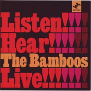 Download track My Baby'S Cheating (I Sure Got The Feeling) The Bamboos, Kylie Auldist