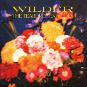 Download track Like Leila Khaled Said (BBC Session Peel Plus 1981) The Teardrop Explodes