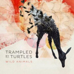 Download track Ghosts Trampled By Turtles