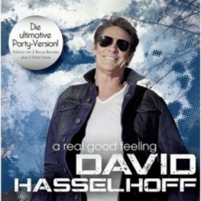 Download track Lonely Days & Lonely Nights David Hasselhoff