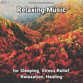 Download track Remedial Sleep Song Yoga