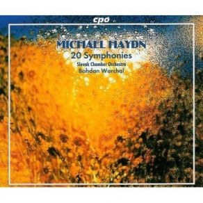 Download track 02. Symphony No. 26 In E Flat Major (Perger 17) - Adagietto Affettuoso Michael Haydn