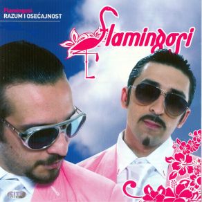 Download track Istina Flamingosi